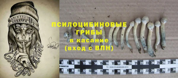 гашик Беломорск