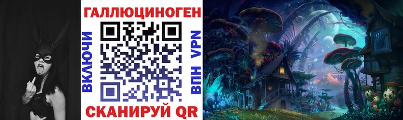Купить  Пошехонье  Галлюциногенные грибы Psilocybe 