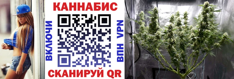 Купить закладки  Пошехонье  Канабис семена 